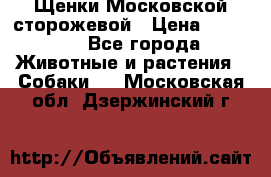 Щенки Московской сторожевой › Цена ­ 35 000 - Все города Животные и растения » Собаки   . Московская обл.,Дзержинский г.